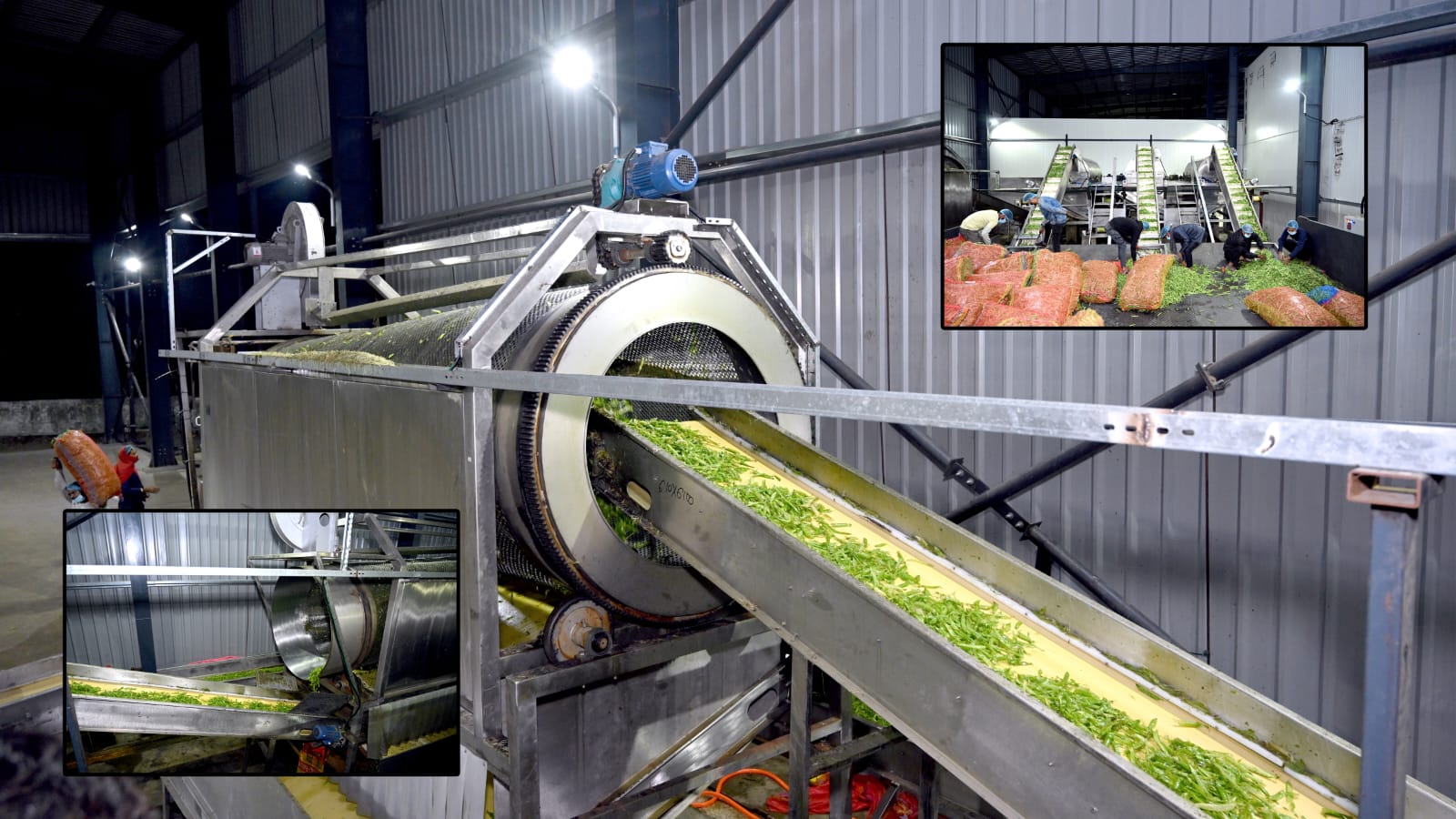 Sorting Line